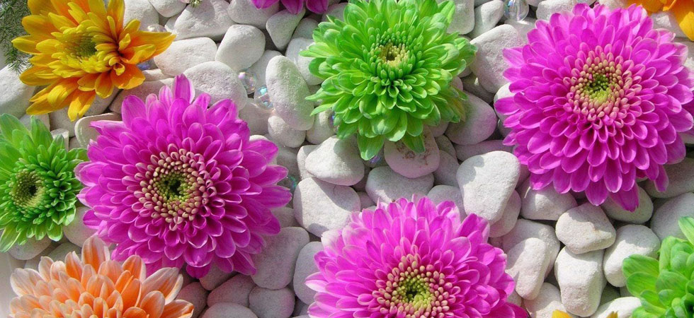 blommor online stockholm